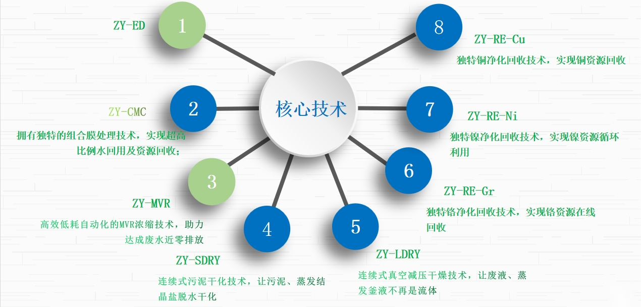技术方案优势(图1)